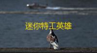 迷你特工英雄